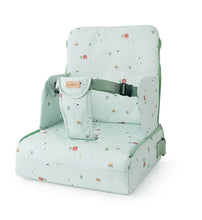 Load image into Gallery viewer, "Funny Farm" Booster Seat