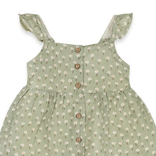 Load image into Gallery viewer, Sage Floral Baby Dress + Bloomer (Organic Muslin)
