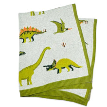 Load image into Gallery viewer, Green Dinosaur - OrganicJacquard Sweater Knit Baby Blanket