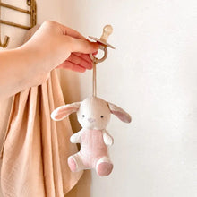 Load image into Gallery viewer, Bitzy Pal Natural Rubber Pacifier & Plush (Bunny)