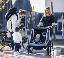 Load image into Gallery viewer, Thule Courier