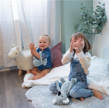 Load image into Gallery viewer, Plush Les Ptipotos- Koala