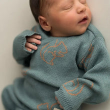 Load image into Gallery viewer, Newborn Pack squirrels jeans 0 -1 month( 56cms) (Copy)