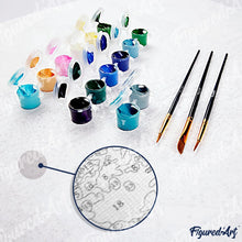 Load image into Gallery viewer, Paint by Numbers rolled - Colorful Abstract Koala