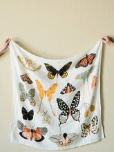 Load image into Gallery viewer, Butterfly Collector Swaddle