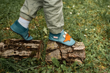 Load image into Gallery viewer, Baobaby Soft Sole Baby Shoes, Classics, Stegofriends