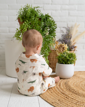 Load image into Gallery viewer, Savannah Collar & Button Baby Playsuit Romper (Organic Muslin)