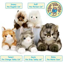 Load image into Gallery viewer, Tamarr the Orange Tabby Cat | 10 Inch Stuffed Animal Plush
