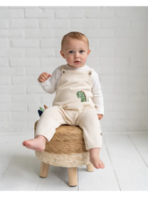 Load image into Gallery viewer, Dino Jacquard Knit Baby Overall Set (Organic Cotton)