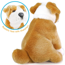 Load image into Gallery viewer, Egan the English Bulldog | 9 Inch Stuffed Animal Plush | By