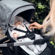 Load image into Gallery viewer, Thule Shine Aluminum/Gray Melange