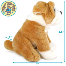 Load image into Gallery viewer, Egan the English Bulldog | 9 Inch Stuffed Animal Plush | By