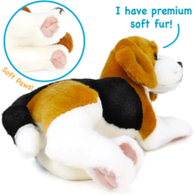 Load image into Gallery viewer, Burkham The Beagle | 14 Inch Stuffed Animal Plush