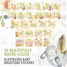 Load image into Gallery viewer, 24 BABY MILESTONE STICKERS (WONDERLAND)
