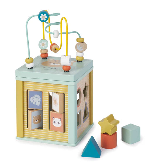 Mutli-Activity Cube