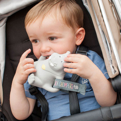 Cheeky Chompers Chewy the Hippo teether