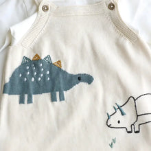Load image into Gallery viewer, Dino Jacquard Sweater Knit Baby Overall Set (Organic Cotton)
