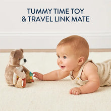 Load image into Gallery viewer, *NEW* Theo The Bear - Itzy Bitzy Mirror™
