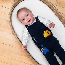 Load image into Gallery viewer, Dinosaur Jacquard Knit Baby Overall &amp; Bodysuit Set (Organic)

