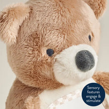 Load image into Gallery viewer, *NEW* Theo The Bear - Itzy Bitzy Mirror™
