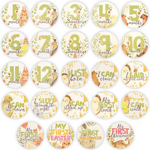 Load image into Gallery viewer, 24 BABY MILESTONE STICKERS (WONDERLAND)
