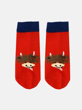 Load image into Gallery viewer, Hamish Highland Cow Fluffy Socks
