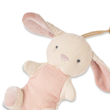 Load image into Gallery viewer, Bitzy Pal Natural Rubber Pacifier &amp; Plush (Bunny)
