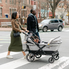 Load image into Gallery viewer, caravan coupe Quad Stroller/Wagon (Gray/Black)
