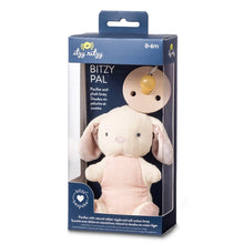 Load image into Gallery viewer, Bitzy Pal Natural Rubber Pacifier &amp; Plush (Bunny)
