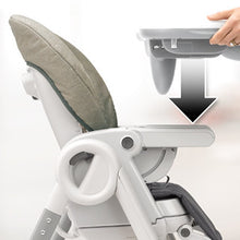 Load image into Gallery viewer, Polly Progress Relax 5-in-1 Highchair - Genesis
