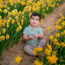 Load image into Gallery viewer, Toddler Short Sleeve Polo in Golf

