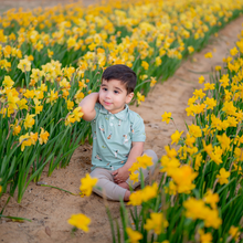 Load image into Gallery viewer, Toddler Short Sleeve Polo in Golf
