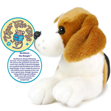 Load image into Gallery viewer, Burkham The Beagle | 14 Inch Stuffed Animal Plush
