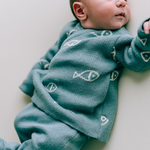 Load image into Gallery viewer, Newborn pack fish jeans
