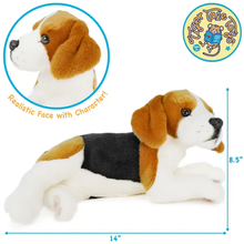 Load image into Gallery viewer, Burkham The Beagle | 14 Inch Stuffed Animal Plush
