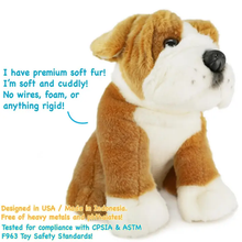 Load image into Gallery viewer, Egan the English Bulldog | 9 Inch Stuffed Animal Plush | By
