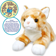 Load image into Gallery viewer, Tamarr the Orange Tabby Cat | 10 Inch Stuffed Animal Plush
